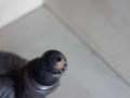 лямбда-зонд BMW 5 серия F07/F10/F11 2010, 3.0 л., дизель, АКПП, седан, 1928404682 - фото №2