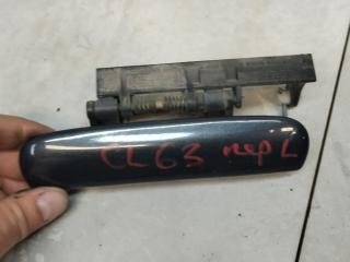 ручка наружная передняя левая Citroen Xsara Picasso 1 поколение 2003, 2.0 л., HDi, дизель, МКПП, минивэн
