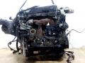 коллектор впускной Renault Espace 4 поколение 2004, 2.2 л., D, дизель, МКПП, зелёный, минивэн - фото №2