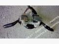 переключатель подрулевой (стрекоза) Mazda 626 GF 1998, 2.0 л., бензин, МКПП, хетчбэк 5 дв. - фото №2